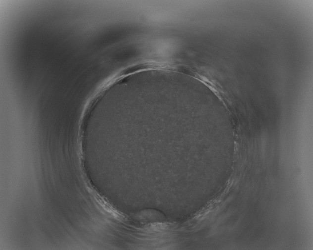 X0000072530149200607211458