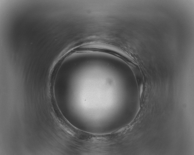 X0000072530150200607211458