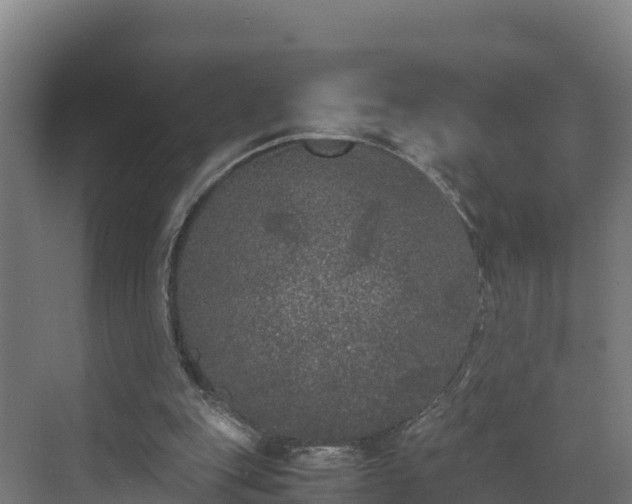 X0000072530151200607211458