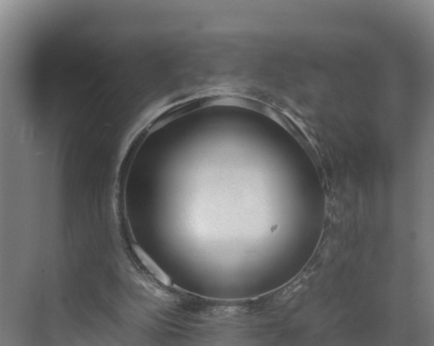 X0000072530152200607211458