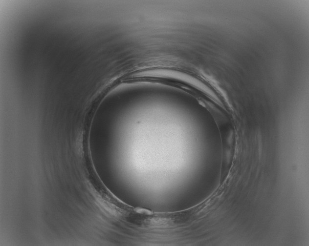 X0000072530154200607211458