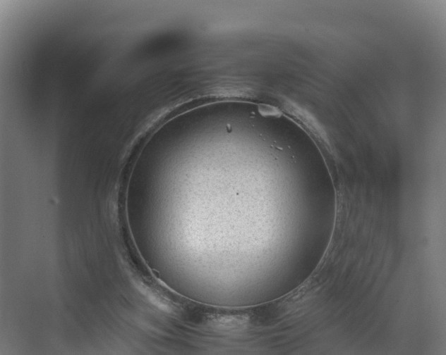 X0000072530155200607211458