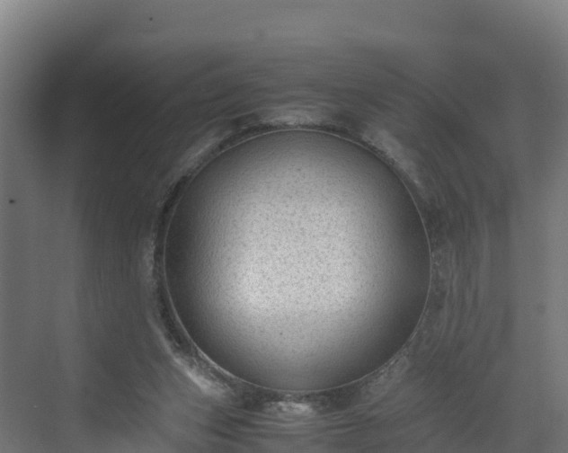 X0000072530159200607211458