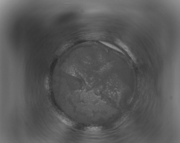 X0000072530161200607211458