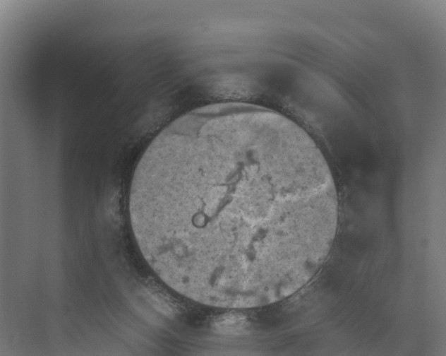 X0000072530162200607211458