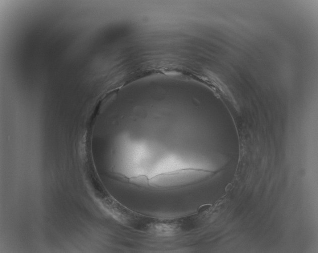 X0000072530163200607211458