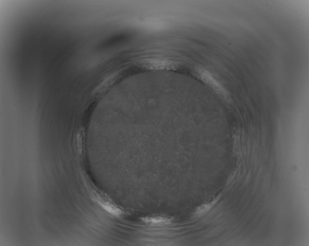 X0000072530165200607211458