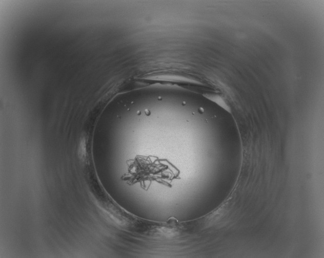 X0000072530166200607211458