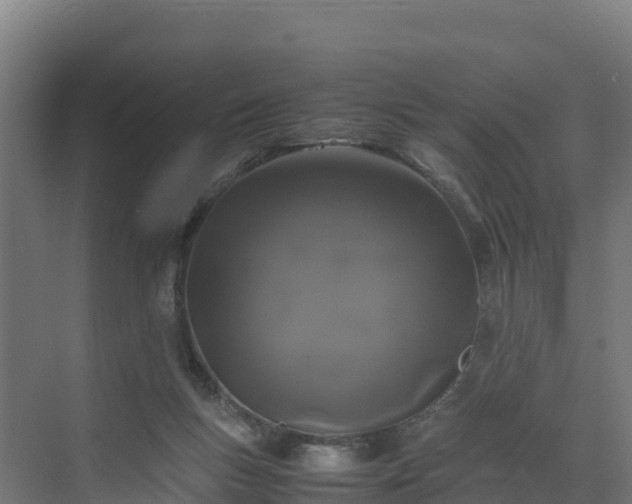 X0000072530167200607211458