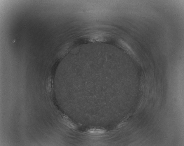 X0000072530169200607211458