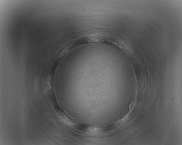 X0000072530174200607211459