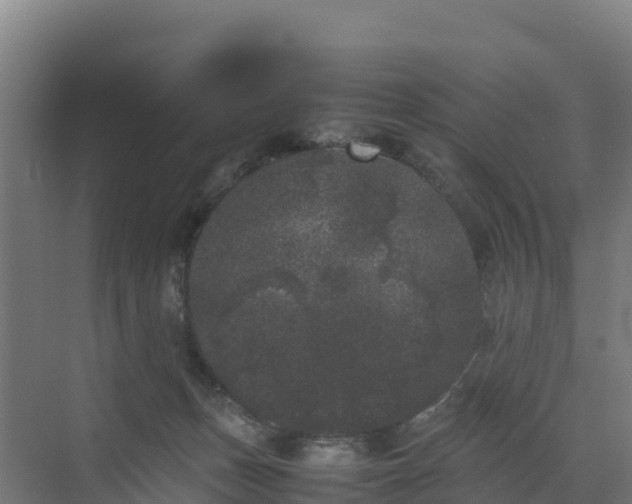 X0000072530175200607211459