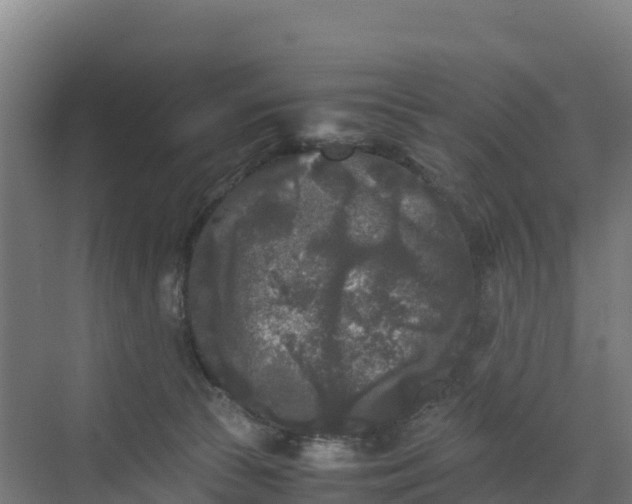 X0000072530177200607211459