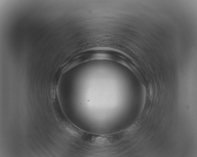 X0000072530180200607211459