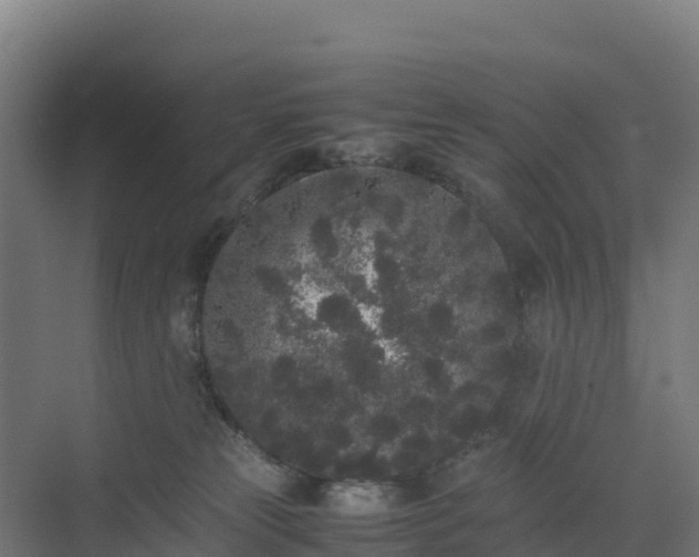 X0000072530181200607211459