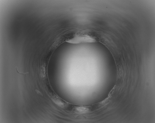 X0000072530183200607211459