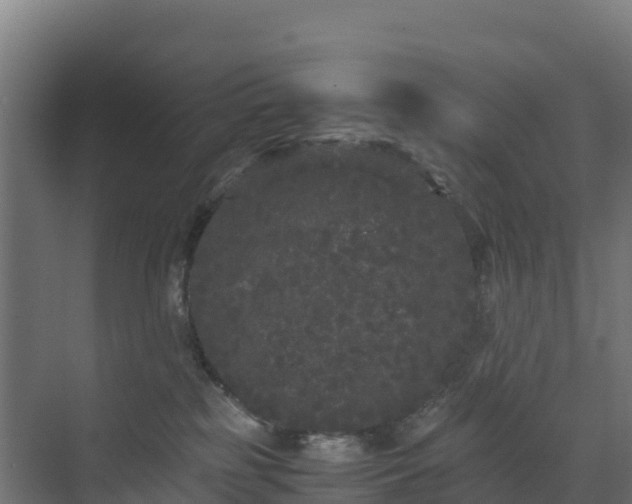 X0000072530185200607211459