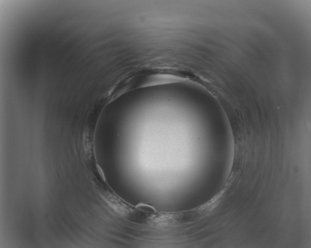 X0000072530186200607211459