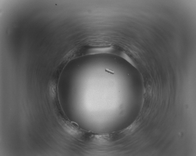 X0000072530188200607211459