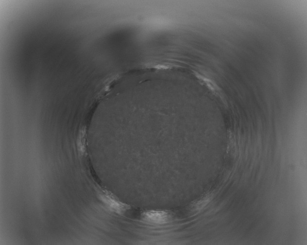 X0000072530189200607211459