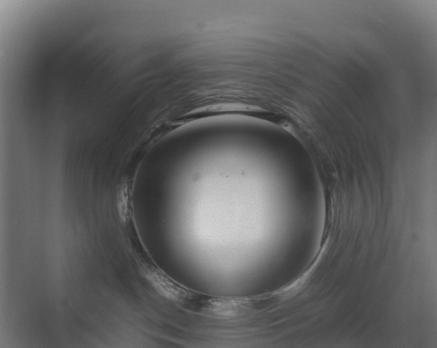 X0000072530190200607211459