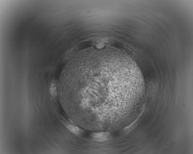 X0000072530191200607211459