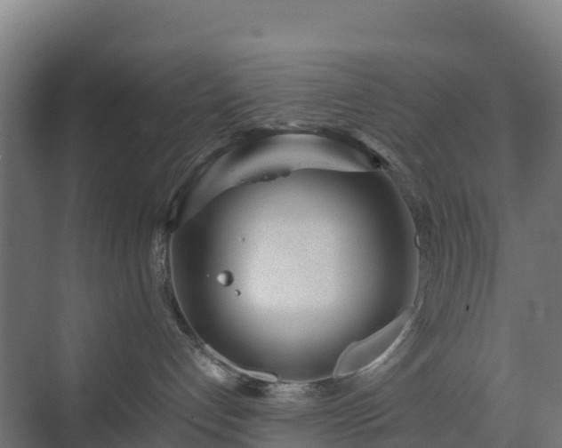 X0000072530192200607211459