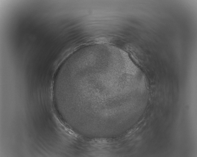 X0000072530194200607211458