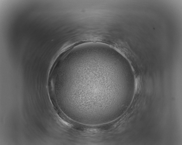 X0000072530195200607211458