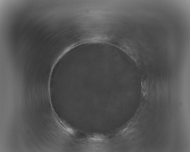 X0000072530196200607211458