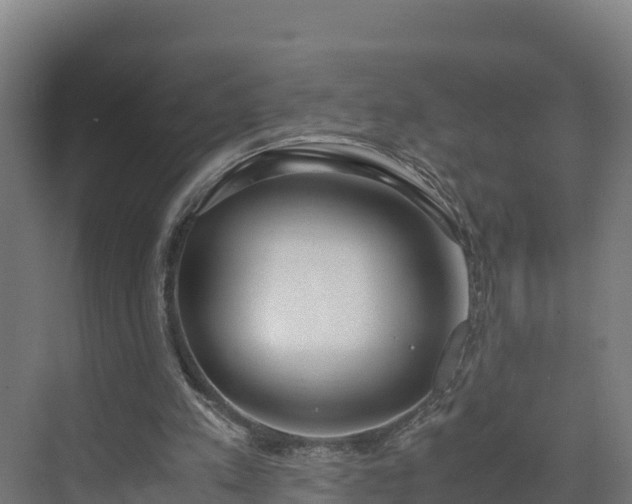 X0000072530197200607211458