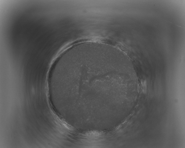 X0000072530198200607211458