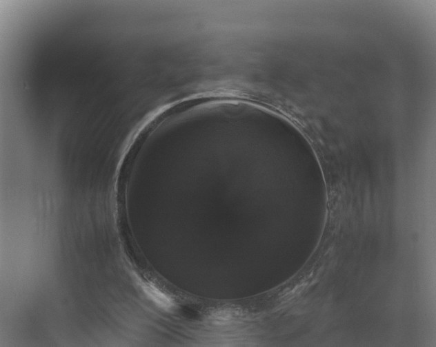 X0000072530200200607211458