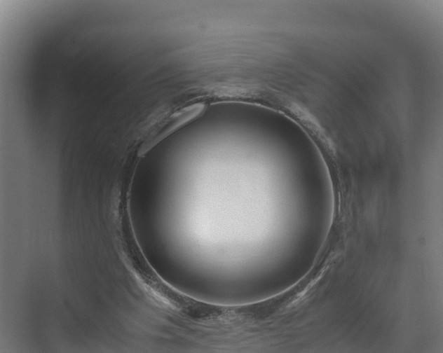 X0000072530201200607211458