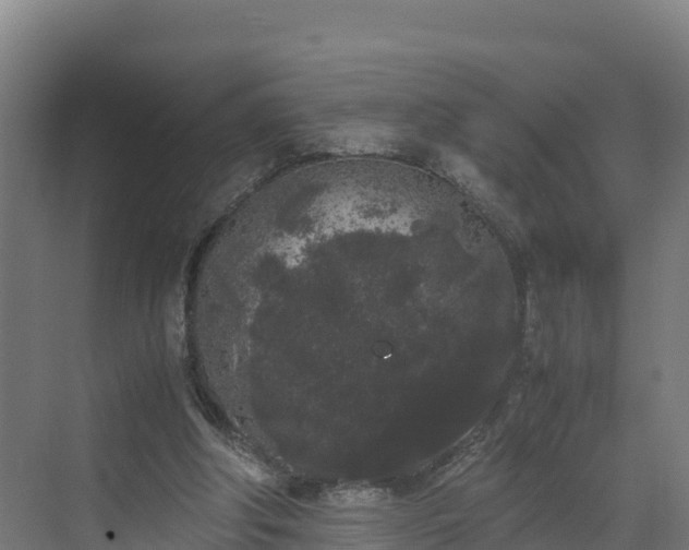 X0000072530202200607211458