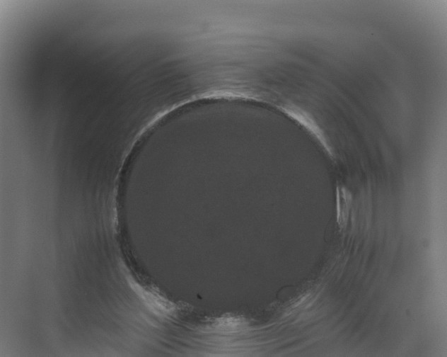 X0000072530204200607211458