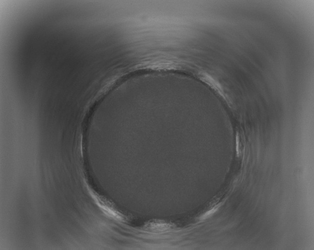 X0000072530205200607211458