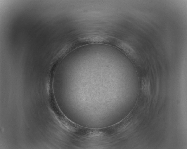 X0000072530206200607211458