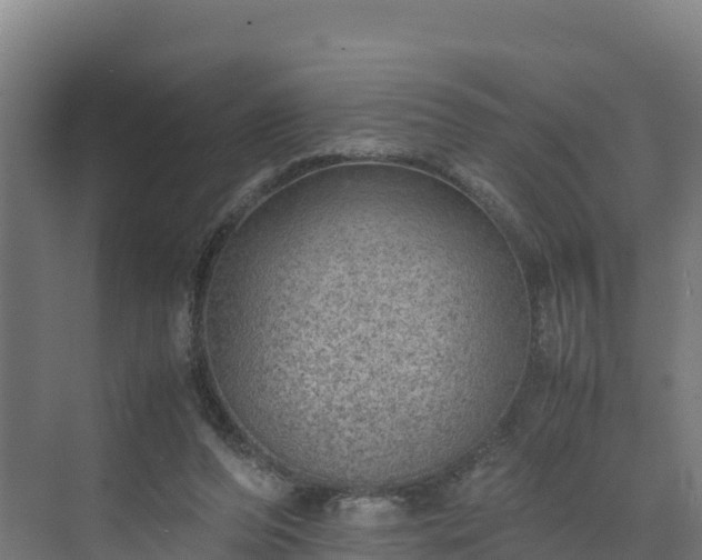 X0000072530208200607211458