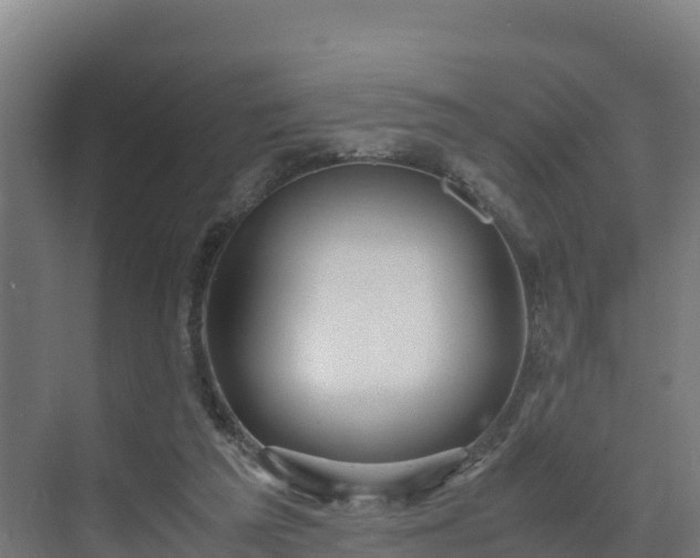 X0000072530209200607211458