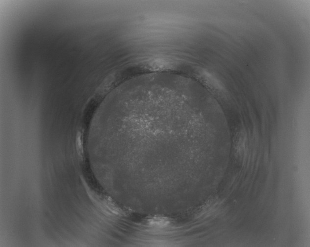 X0000072530214200607211458