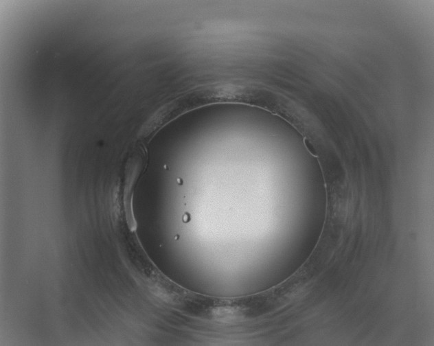 X0000072530216200607211458