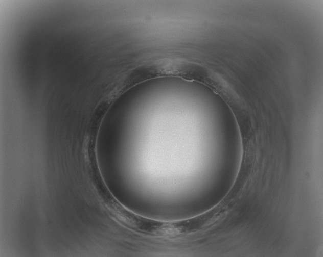 X0000072530217200607211458