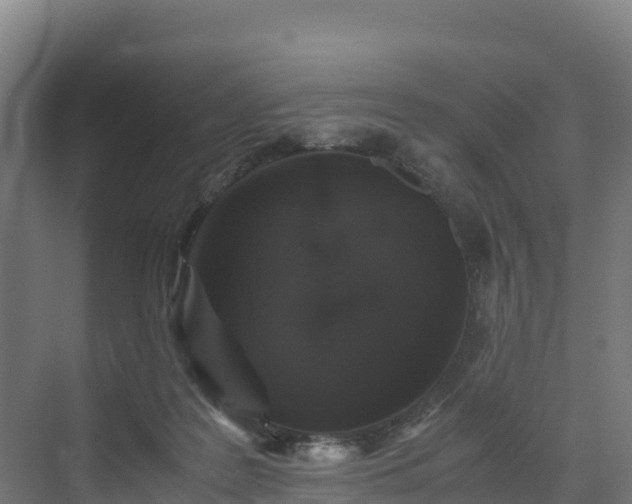 X0000072530219200607211458