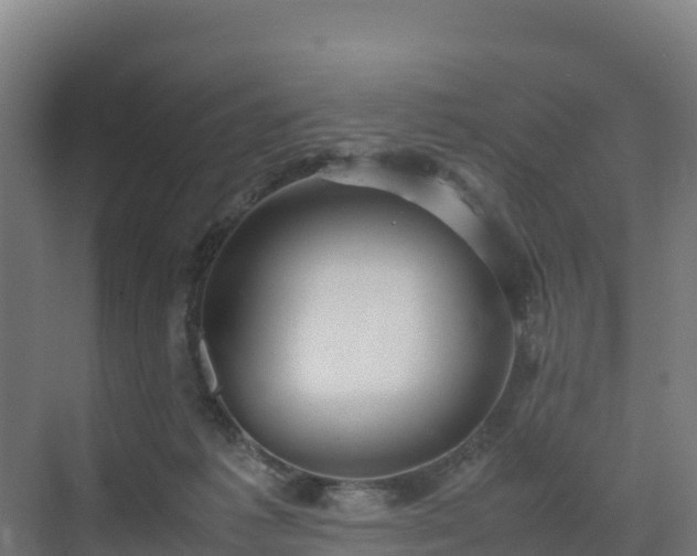 X0000072530221200607211458