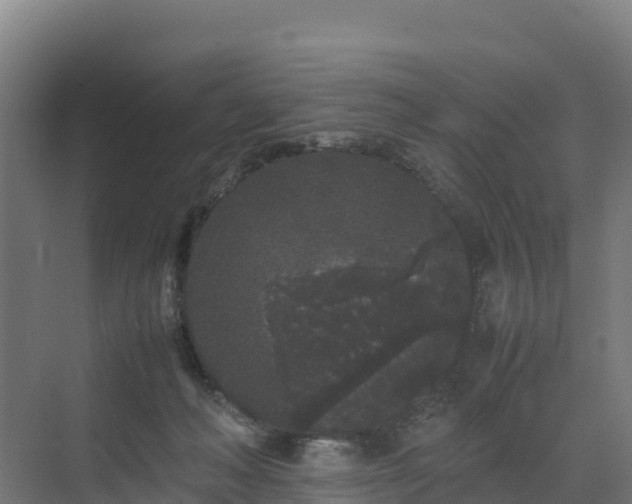 X0000072530222200607211458