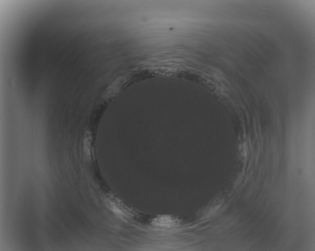 X0000072530231200607211457