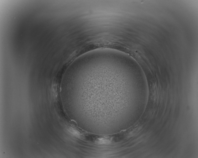 X0000072530232200607211457