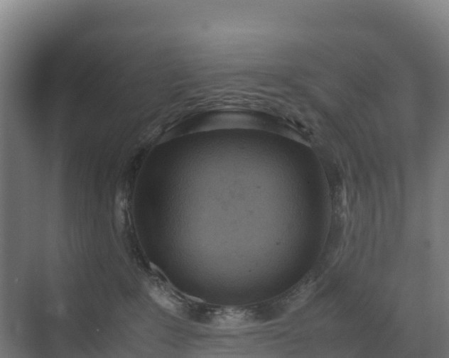 X0000072530235200607211457