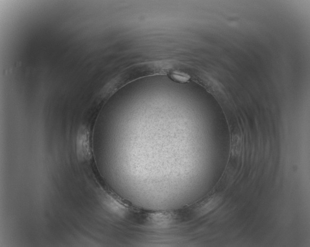 X0000072530238200607211457